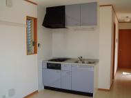 ��Ϸ̾�� K���ѡ���