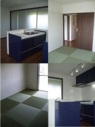 ����롼���ߤ��ޤ���