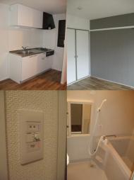 ���ڻԥ���ǥ��������ѡ���