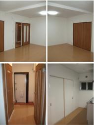 �����Ծ���ê����