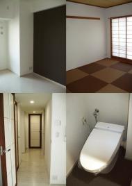 Ä®ÅĻԥë¥Í¥°¥é¥ó¥Ç¥£¥¢